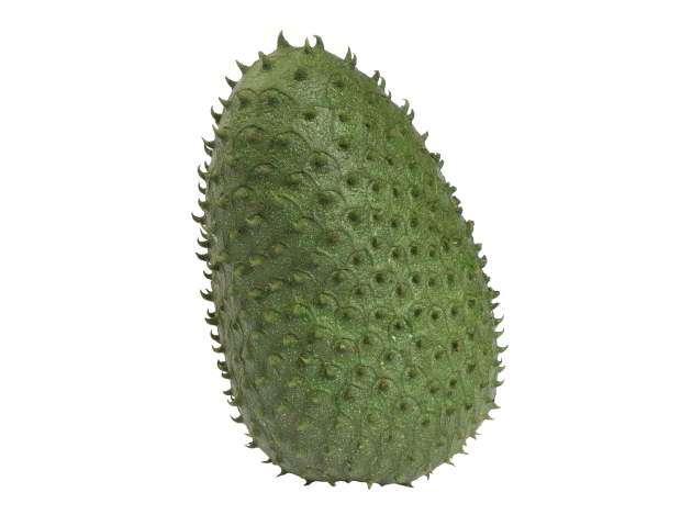 Stachelannone